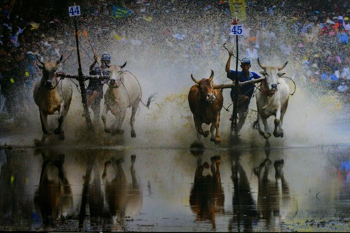 A glimpse of Vietnam through photo exhibition - ảnh 6